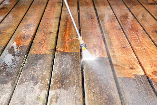 Best Roof Pressure Washing  in Lakewood Park, FL